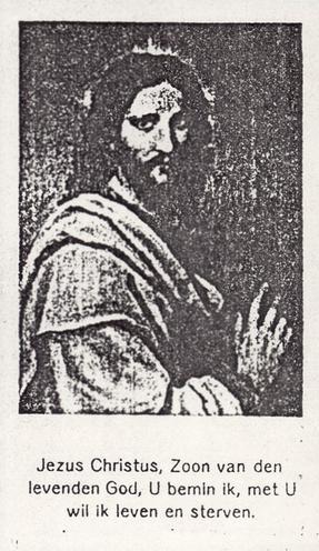 80